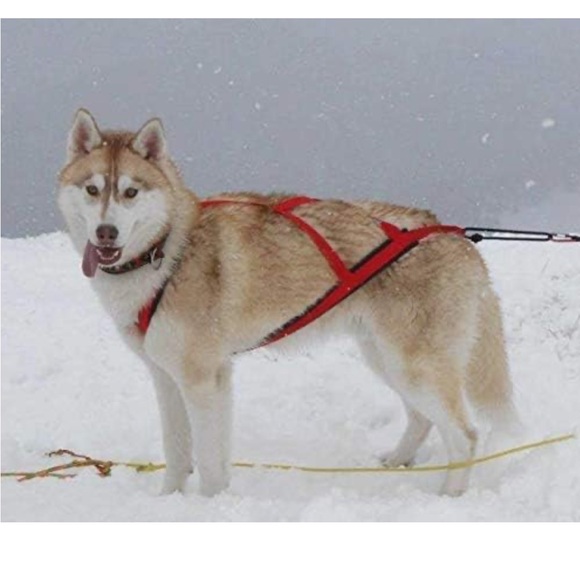 Neewa Sled Dog/Husky Harness for Running/Biking | Pink, Size Small - Picture 10 of 11